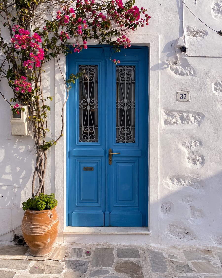 A blue door framed by bougainvillea on a whitewashed wall